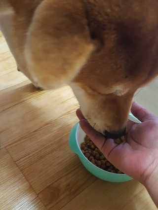 컴백08리터님이 올린 리뷰 사진 2