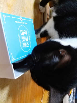 냠냠잉님이 올린 리뷰 사진 1