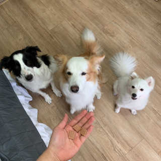 떡볶이죠아님이 올린 리뷰 사진 2