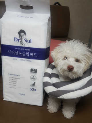찐멍멍이님이 올린 리뷰 사진 1