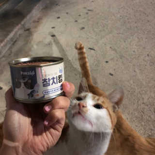 김다경님이 올린 리뷰 사진 1