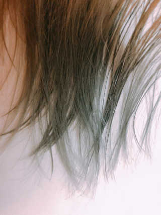 댑빵이님이 올린 리뷰 사진 1