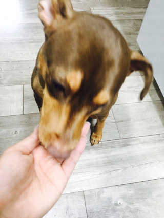 희진님이 올린 리뷰 사진 4