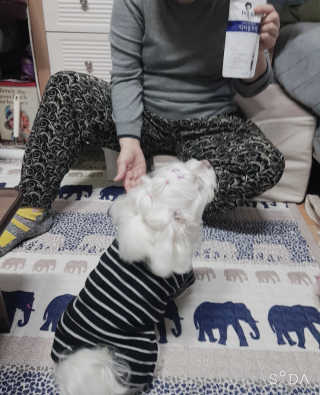 두부님이 올린 리뷰 사진 3