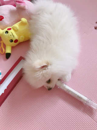 스윗베이비님이 올린 리뷰 사진 2