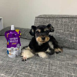 닥터할리펫밀크 8종 — 5점을 준 리뷰어가 2019년 5월 올린 사용 사진