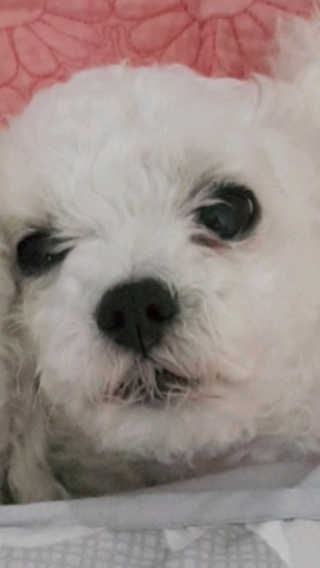 이프리님이 올린 리뷰 사진 1