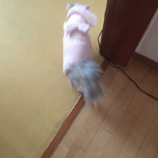 kelynomma님이 올린 리뷰 사진 3