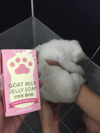 루이이모님이 올린 리뷰 사진 1