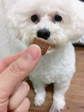 개날나리님이 올린 리뷰 사진 2