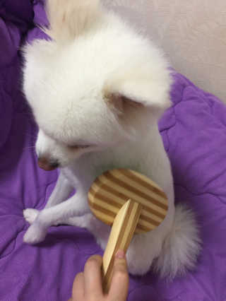 0ee님이 올린 리뷰 사진 3