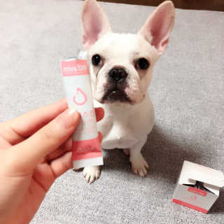 불독키우는개엄마❤️님이 올린 리뷰 사진 2