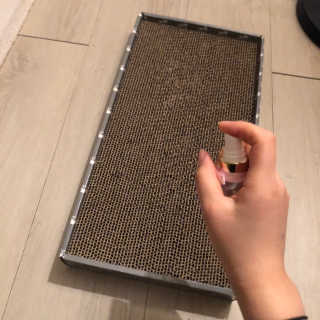 쩨리님이 올린 리뷰 사진 2