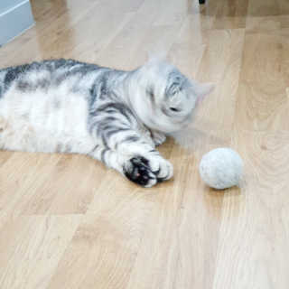 제니언니님이 올린 리뷰 사진 4