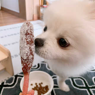 단미콘님이 올린 리뷰 사진 4