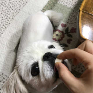 슈민짱짱님이 올린 리뷰 사진 3