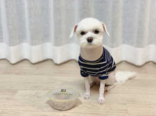 꾸딩님이 올린 리뷰 사진 1