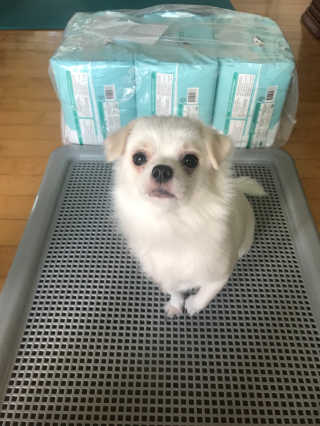 김유경님이 올린 리뷰 사진 4