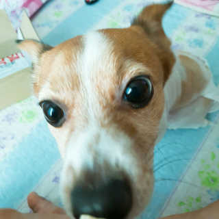 호꼬두님이 올린 리뷰 사진 2