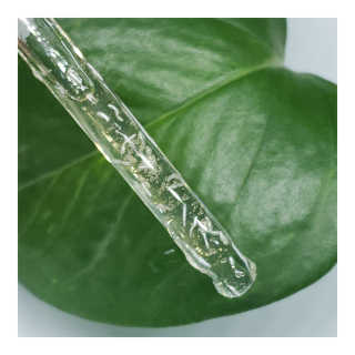 앰플엔 암 페트 펩티드 샷 AMPOULE — 5점을 준 리뷰어가 2019년 6월 올린 사용 사진