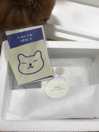 박세미님이 올린 리뷰 사진 1