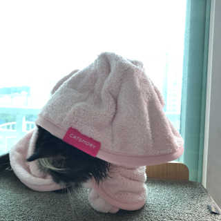 손인수님이 올린 리뷰 사진 3