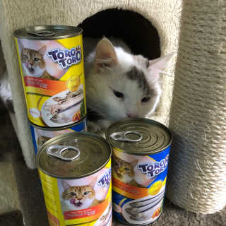봄봄님이 올린 리뷰 사진 2