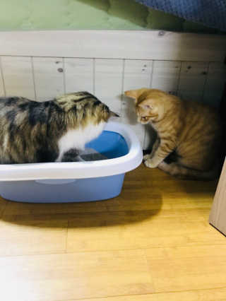 jiiiii님이 올린 리뷰 사진 3