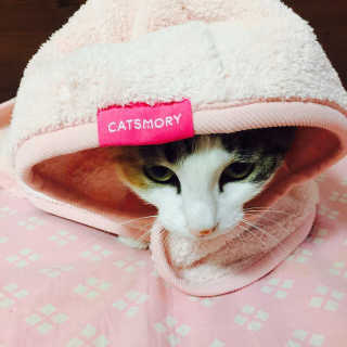 우블리님이 올린 리뷰 사진 2