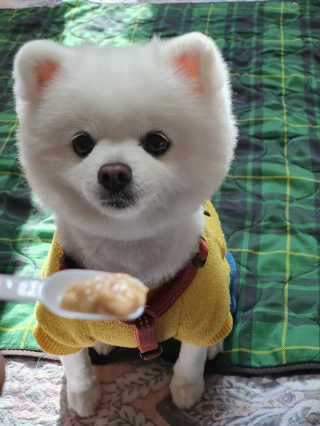 겸둥이연우맘님이 올린 리뷰 사진 3