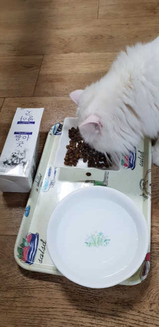 영니님이 올린 리뷰 사진 3