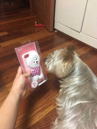 쥴리님이 올린 리뷰 사진 1