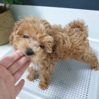 은찡님이 올린 리뷰 사진 2