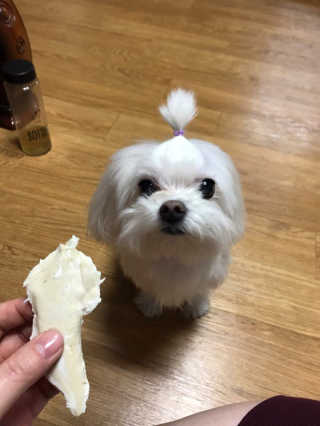 최자영님이 올린 리뷰 사진 2
