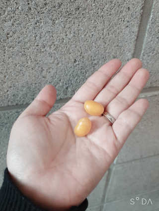 BoRaJin님이 올린 리뷰 사진 3