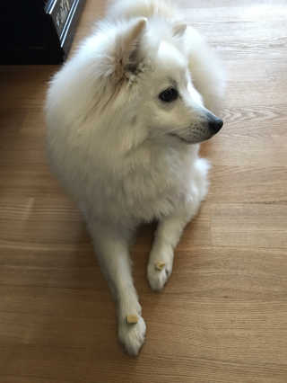bin님이 올린 리뷰 사진 4