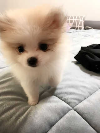 은이성님이 올린 리뷰 사진 2