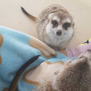 짱이야님이 올린 리뷰 사진 2