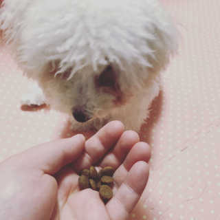 뿌뀨님이 올린 리뷰 사진 1