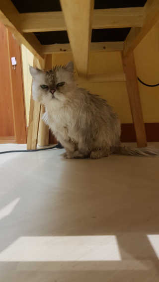 박오뎅님이 올린 리뷰 사진 4