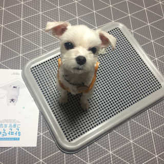 당근님이 올린 리뷰 사진 1