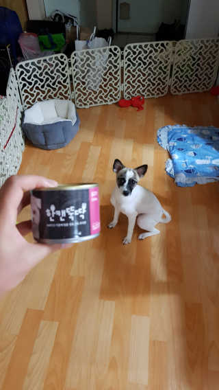 아라미님이 올린 리뷰 사진 2