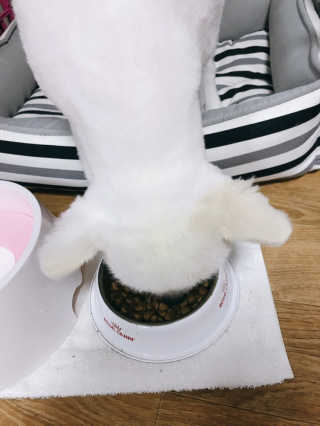 구름이엄마님이 올린 리뷰 사진 1