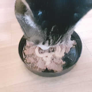 눈비님이 올린 리뷰 사진 4