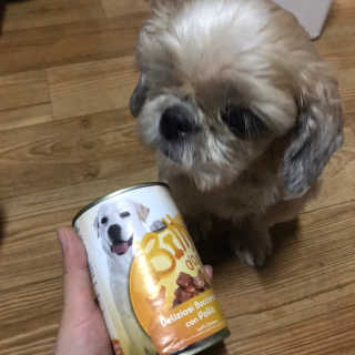 [펫토리아]배피 고양이,빌리강아지 대용량주식캔 — 4점을 준 리뷰어가 2019년 7월 올린 사용 사진