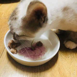 용이용님이 올린 리뷰 사진 3
