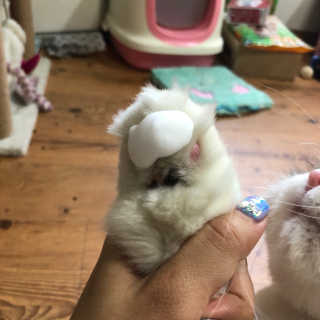 눌222님이 올린 리뷰 사진 3