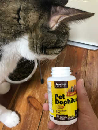 재로우 제로우 펫 도필러스 반려동물 유산균 영양제 70.5g — 5점을 준 리뷰어가 2018년 8월 올린 사용 사진