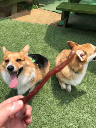 YejiChoi님이 올린 리뷰 사진 1