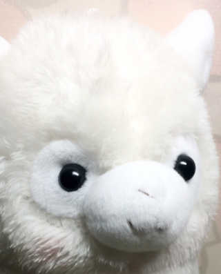 최한솔님이 올린 리뷰 사진 4